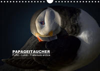 Papageitaucher: Puffin - Lundi - Fratercula arctica (Wandkalender 2020 DIN A4 quer)