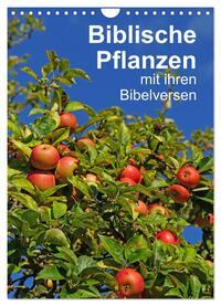 Biblische Pflanzen mit ihren Bibelversen (Wandkalender 2024 DIN A4 hoch), CALVENDO Monatskalender