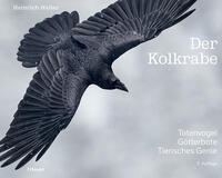 Der Kolkrabe – Totenvogel, Götterbote, tierisches Genie