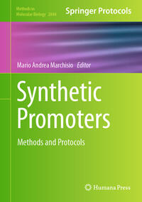 Synthetic Promoters