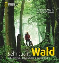 Sehnsucht Wald