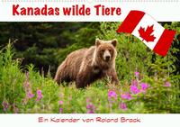 Kanadas Wilde Tiere (Wandkalender 2022 DIN A2 quer)