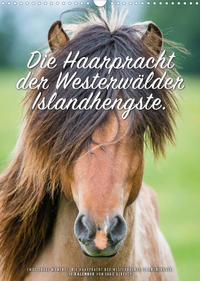 Die Haarpracht der Islandhengste. (Wandkalender 2022 DIN A3 hoch)