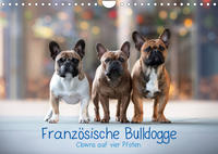 Französische Bulldogge - Clowns auf vier Pfoten (Wandkalender 2023 DIN A4 quer)