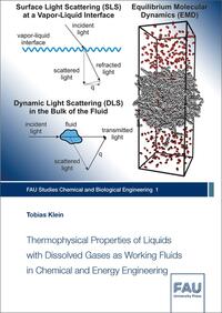 Thermophysical Properties of Liquids with Dissolved Gases as Working Fluids in Chemical and Energy Engineering