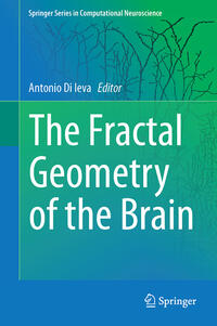 The Fractal Geometry of the Brain