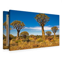 Premium Textil-Leinwand 750 x 500 cm Quer-Format Namibia: Einmalig und überaus beeindruckend | Wandbild, HD-Bild auf Keilrahmen, Fertigbild auf hochwertigem Vlies, Leinwanddruck von Ingo Paszkowsky