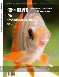 NEWS Bookazine Nr. 8 (Frühjahr 2020)