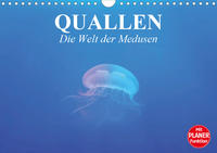 Quallen. Die Welt der Medusen (Wandkalender 2020 DIN A4 quer)