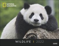 Wildlife Posterkalender National Geographic 2022