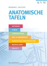 Anatomische Tafeln