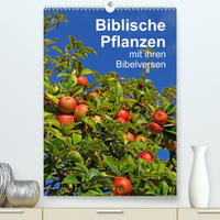 Biblische Pflanzen mit ihren Bibelversen (Premium, hochwertiger DIN A2 Wandkalender 2023, Kunstdruck in Hochglanz)