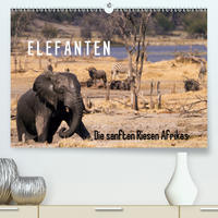 Elefanten - Die sanften Riesen Afrikas (Premium, hochwertiger DIN A2 Wandkalender 2020, Kunstdruck in Hochglanz)