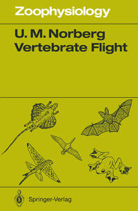 Vertebrate Flight