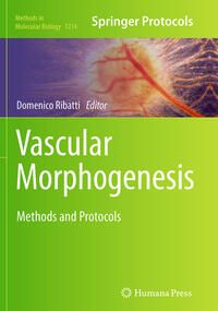 Vascular Morphogenesis