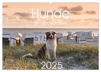 Hunde an der Nordsee (Wandkalender 2025 DIN A2 quer), CALVENDO Monatskalender