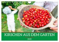 Kirschen aus dem Garten – Erntekalender (Wandkalender 2025 DIN A4 quer), CALVENDO Monatskalender