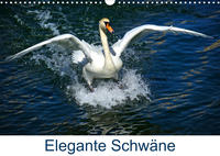 Elegante Schwäne (Wandkalender 2023 DIN A3 quer)