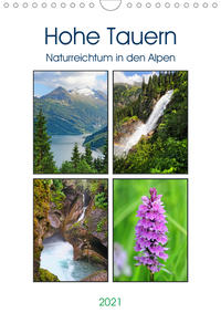 Hohe Tauern - Naturreichtum in den Alpen (Wandkalender 2021 DIN A4 hoch)