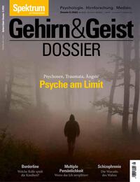 Gehirn&Geist Dossier - Psyche am Limit