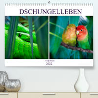 Dschungelleben - Tierportraits (Premium, hochwertiger DIN A2 Wandkalender 2022, Kunstdruck in Hochglanz)