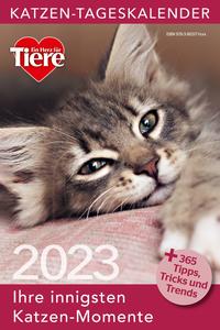 Katzen Tageskalender 2023