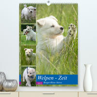 Welpen Zeit - Berger Blanc Suisse (Premium, hochwertiger DIN A2 Wandkalender 2022, Kunstdruck in Hochglanz)