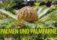 Palmen und Palmfarne (Wandkalender 2022 DIN A3 quer)