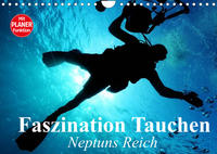 Faszination Tauchen. Neptuns Reich (Wandkalender 2022 DIN A4 quer)