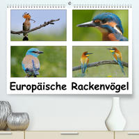 Europäische Rackenvögel (Premium, hochwertiger DIN A2 Wandkalender 2022, Kunstdruck in Hochglanz)