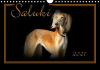 Saluki 2021 (Wandkalender 2021 DIN A4 quer)