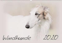 Windhunde 2020 (Wandkalender 2020 DIN A2 quer)