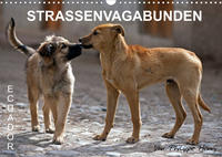 STRASSENVAGABUNDEN (Wandkalender 2022 DIN A3 quer)