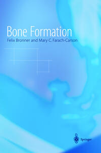 Bone Formation