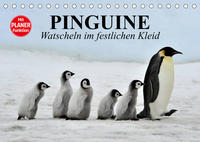 Pinguine - Watscheln im festlichen Kleid (Tischkalender 2023 DIN A5 quer)