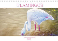 Flamingos - imposante Schönheiten (Wandkalender 2022 DIN A4 quer)