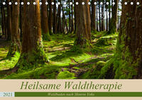 Heilsame Waldtherapie - Waldbaden nach Shinrin Yoku (Tischkalender 2021 DIN A5 quer)