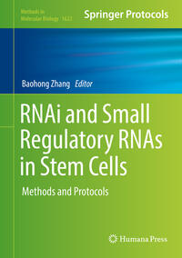 RNAi and Small Regulatory RNAs in Stem Cells