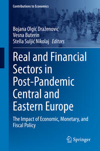 Real and Financial Sectors in Post-Pandemic Central and Eastern Europe