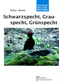 Schwarz-, Grau- und Grünspecht