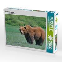 CALVENDO Puzzle Braunbär in Alaska 2000 Teile Lege-Größe 90 x 67 cm Foto-Puzzle Bild von Dieter-M. Wilczek