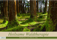 Heilsame Waldtherapie - Waldbaden nach Shinrin Yoku (Wandkalender 2023 DIN A3 quer)