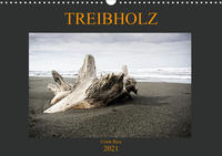 Treibholz Costa Rica (Wandkalender 2021 DIN A3 quer)