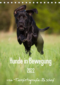 Hunde in Bewegung 2022 von Tierfotografie Bischof (Tischkalender 2022 DIN A5 hoch)