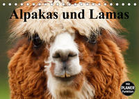 Alpakas und Lamas (Tischkalender 2023 DIN A5 quer)