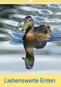 Liebenswerte Enten (Wandkalender 2023 DIN A3 hoch)