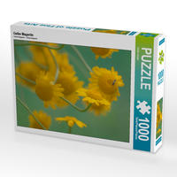 CALVENDO Puzzle Gelbe Magerite 1000 Teile Lege-Größe 64 x 48 cm Foto-Puzzle Bild von Ulrike Adam