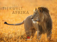 Tierwelt Afrika Kalender 2022