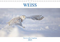 WEISS (Wandkalender 2023 DIN A4 quer)