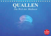 Quallen. Die Welt der Medusen (Tischkalender 2021 DIN A5 quer)